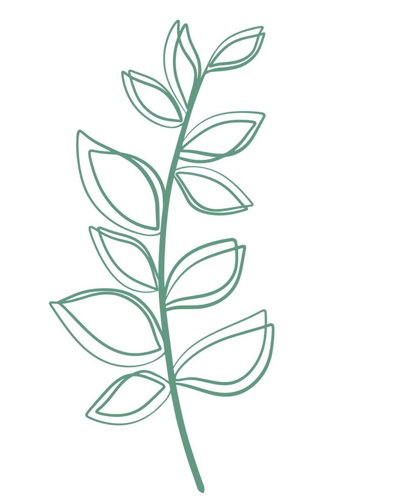 ramoscello verde con foglie disegnate doodle illustrazione vettore