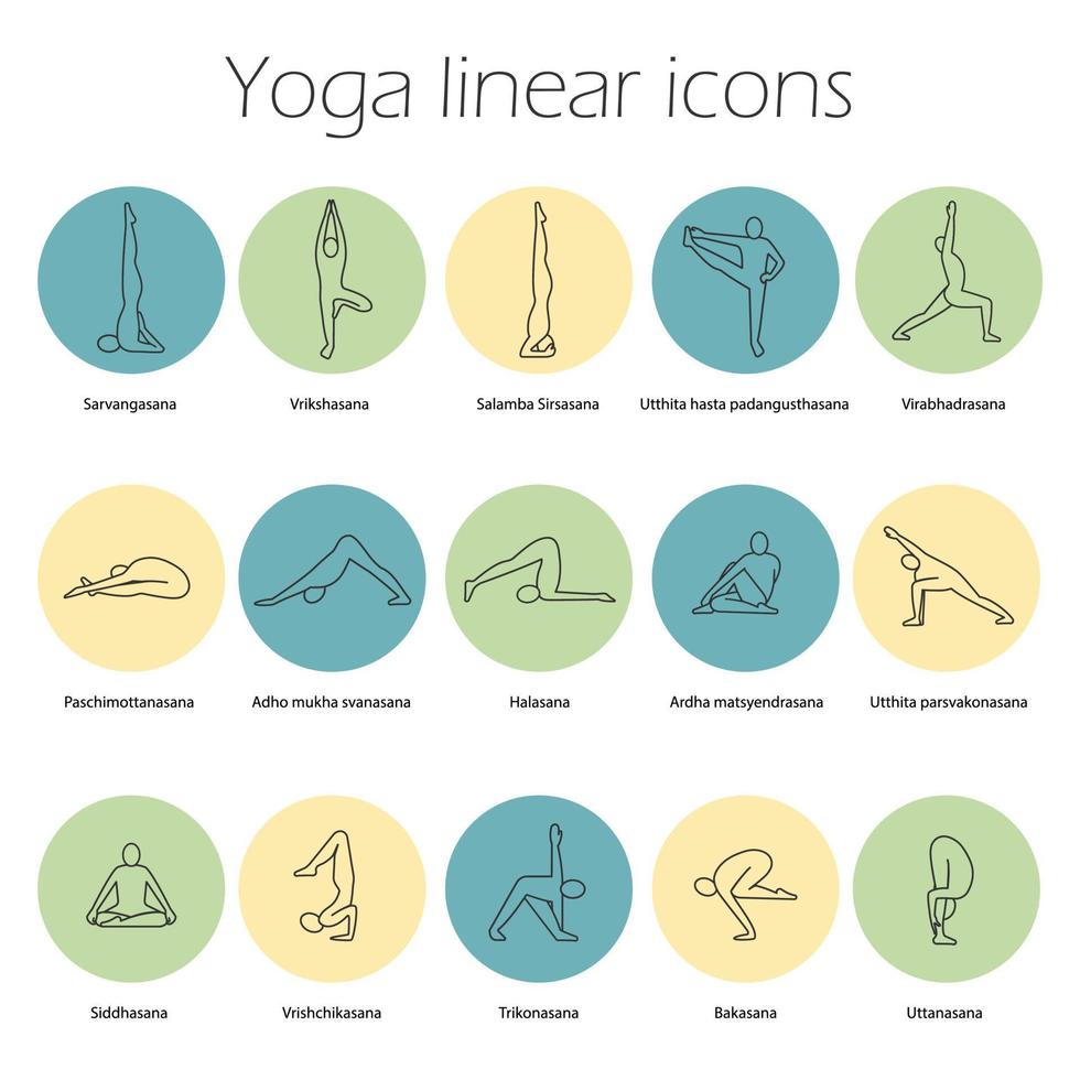 yoga pone set di icone lineari. sarvangasana, halasana, bakasana, uttanasana, siddhasana, vrikshasana, trikonasana, virabhadrasana. simboli di contorno linea sottile. illustrazioni vettoriali isolate