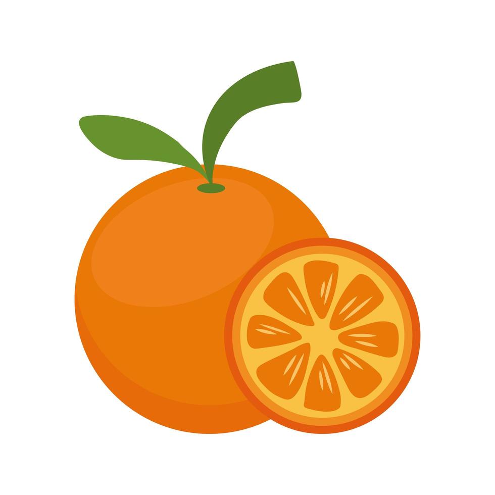 agrumi arancioni vettore