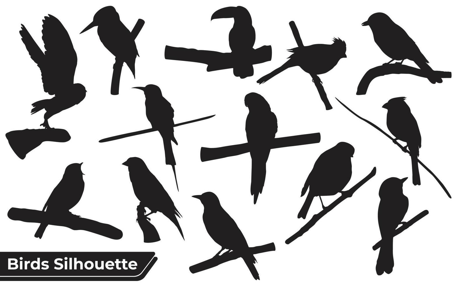 collezione di silhouette di uccelli seduti e in volo vettore