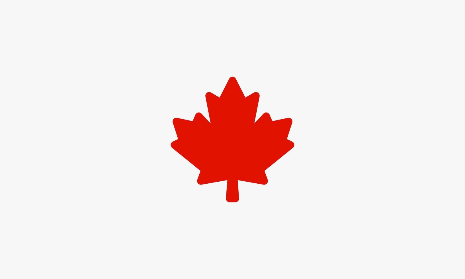 foglia d'acero rossa. simbolo del Canada. illustrazione vettoriale. vettore