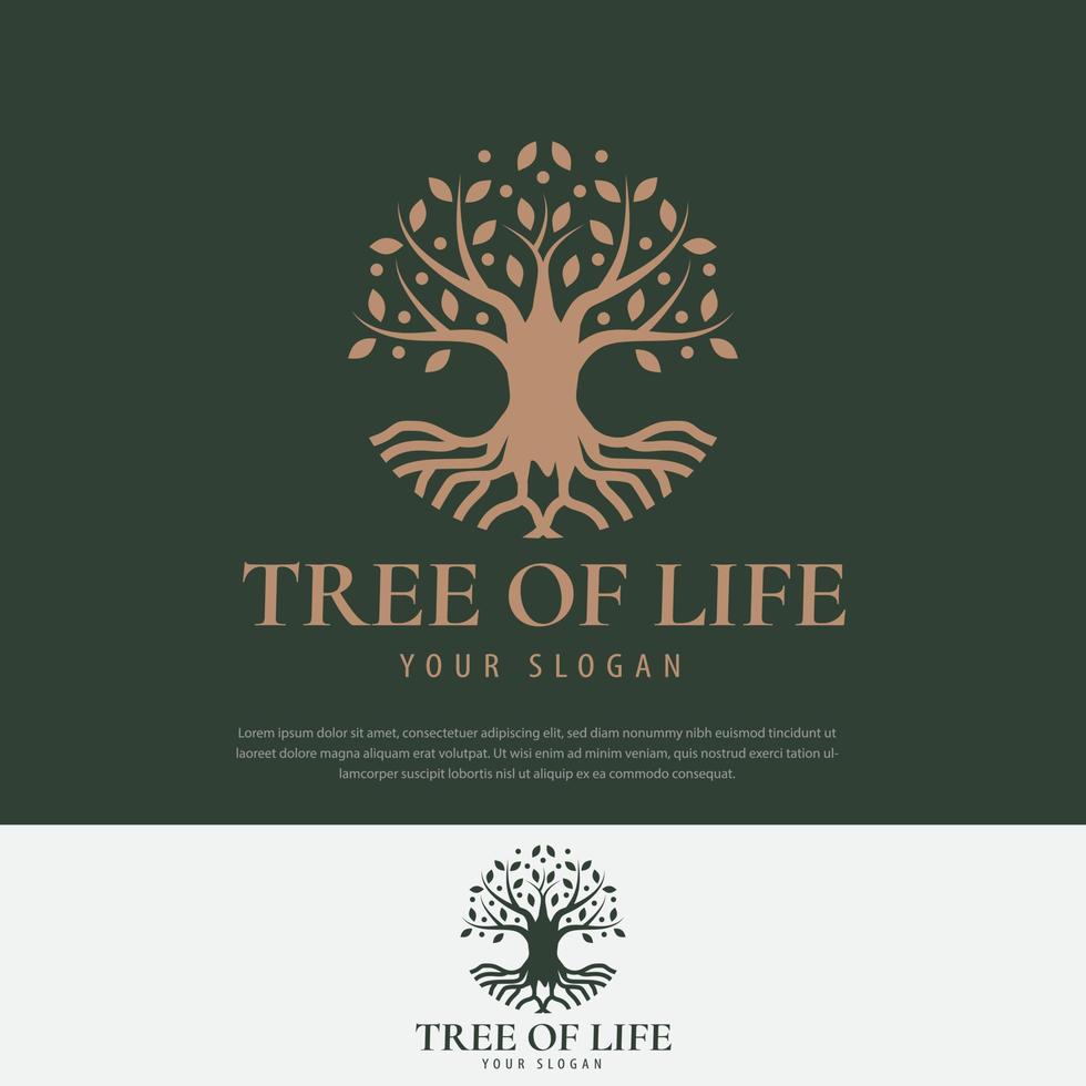 albero genealogico della vita logo design illustrazione vettoriale, simbolo, icona illustrazione vettore