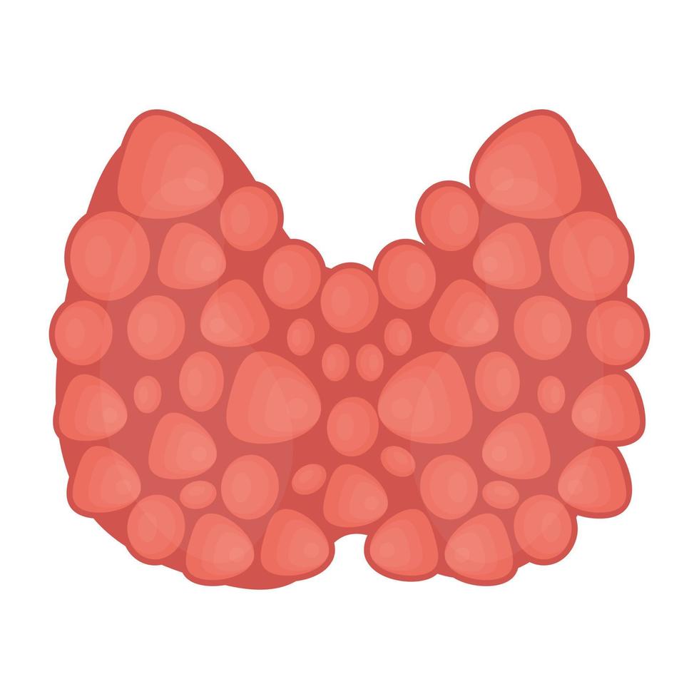 concetti di sistema endocrino vettore