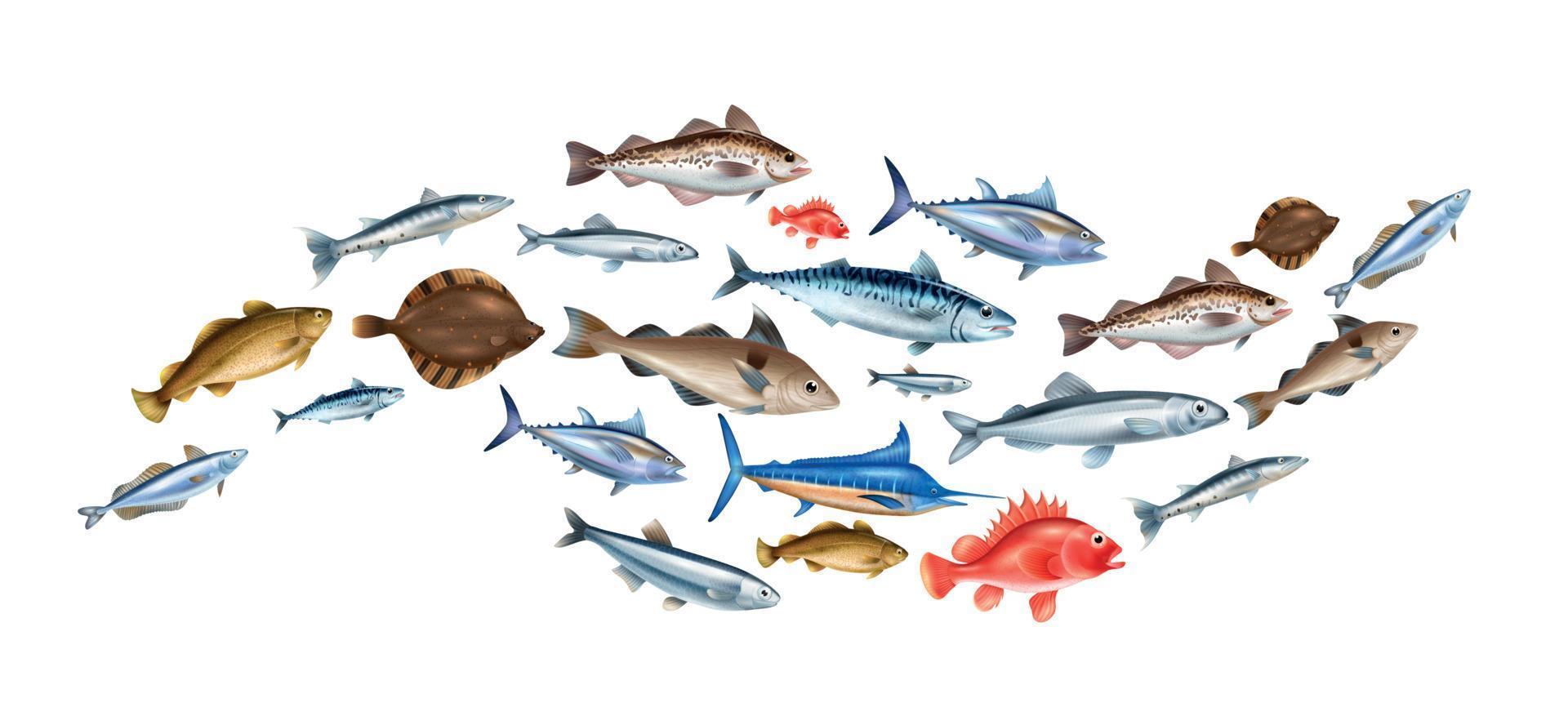 concetto realistico di pesce di mare vettore