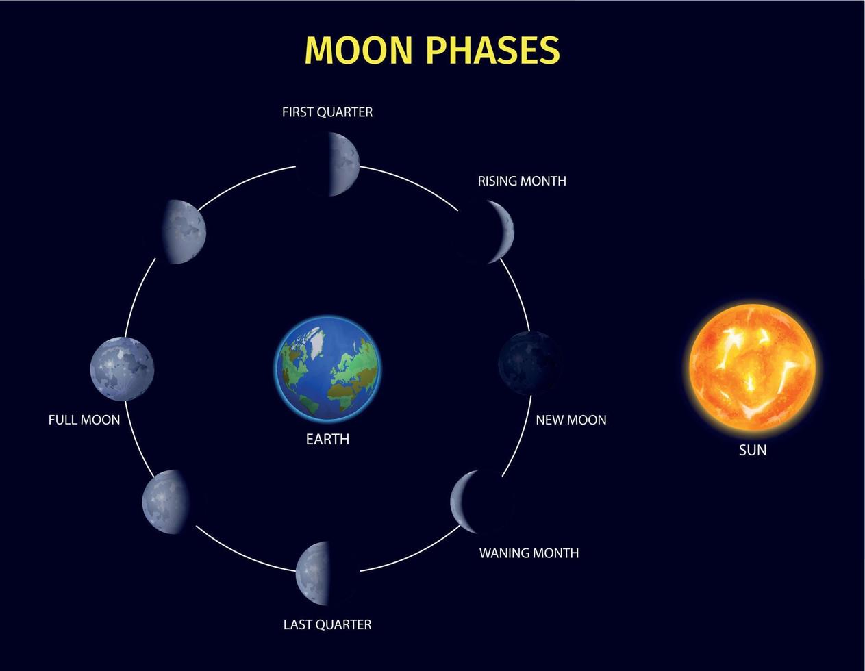 set di infografica fasi lunari vettore