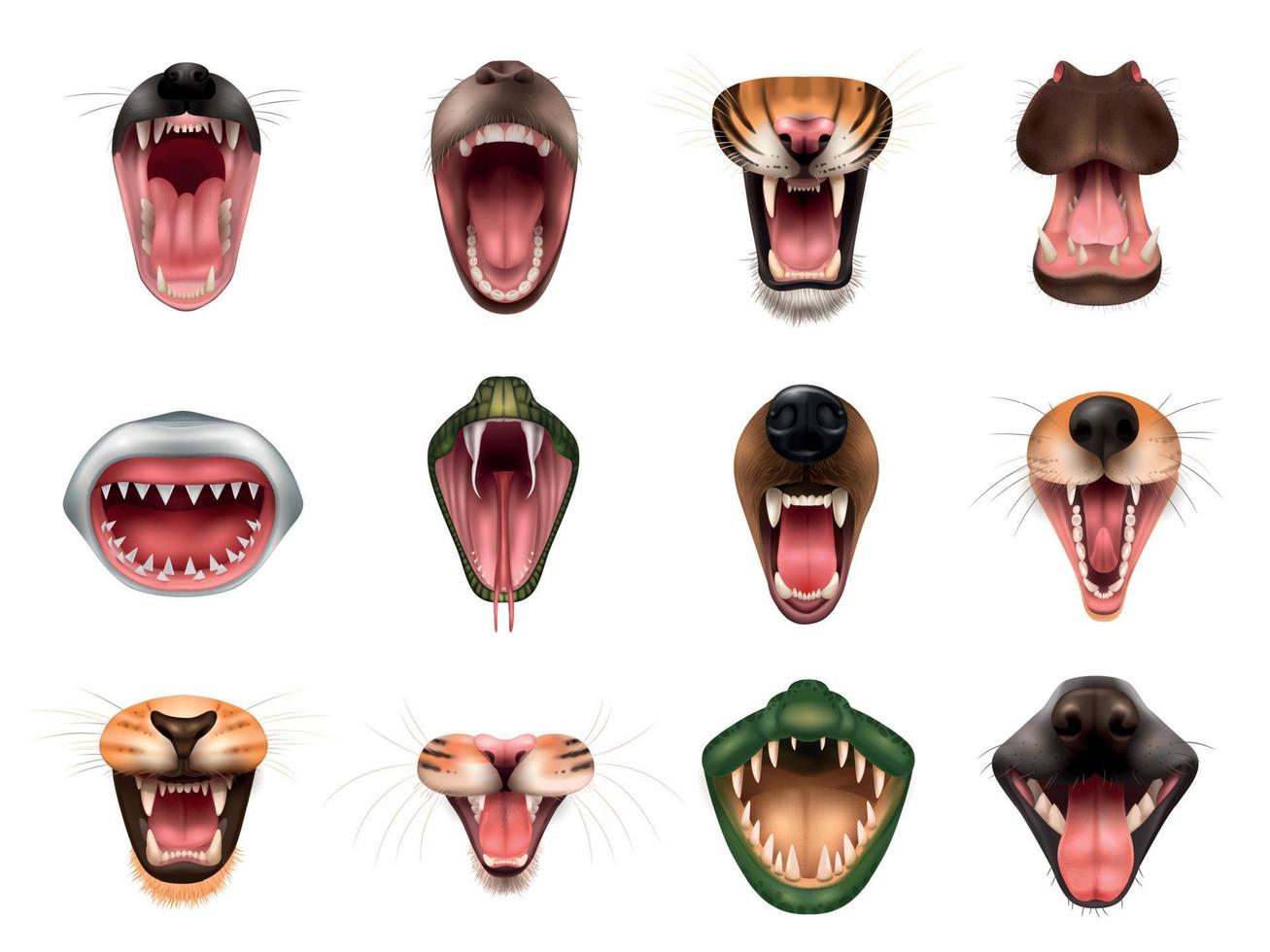 set di bocche di animali vettore