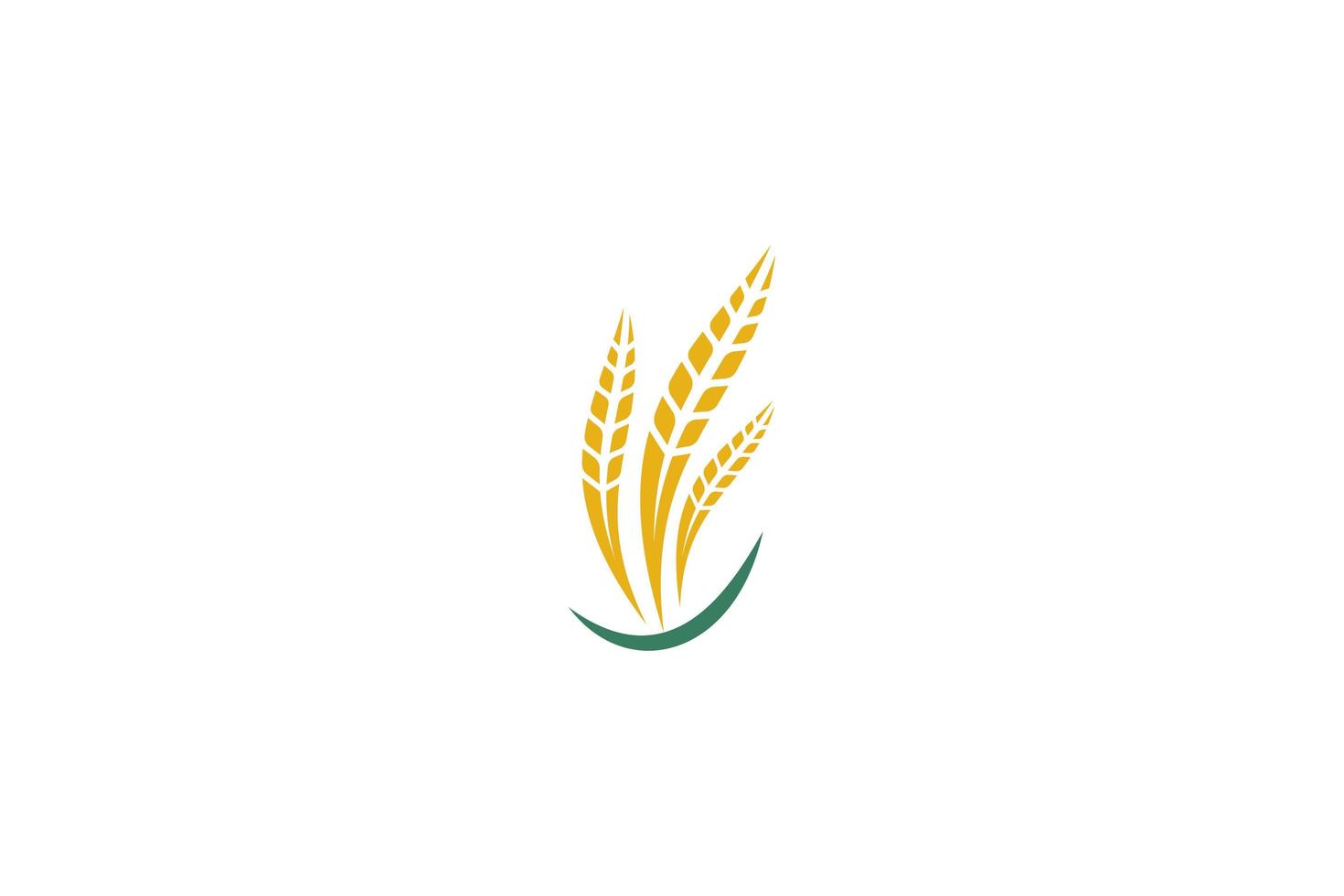 vettore di progettazione del modello di logo del grano, illustrazione dell'icona