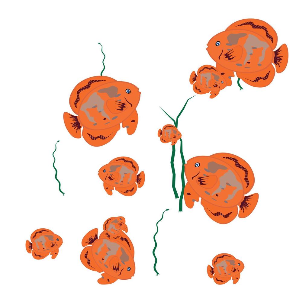 pesce arancione isolato su sfondo bianco. illustrazione vettoriale. e vettore