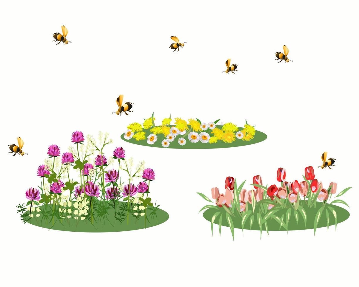 aiuole con fiori e api carine in primavera vettore