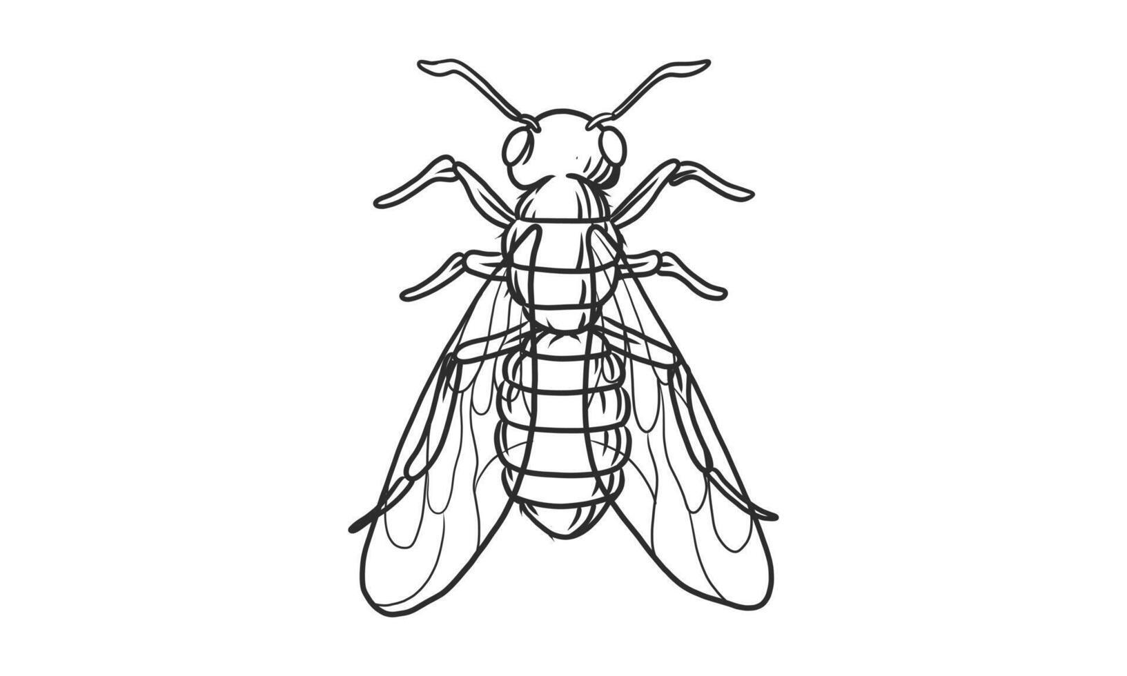 illustrazione vettoriale lineart di mosche su sfondo bianco, vista dall'alto disegnata a mano mosche schizzo di insetti