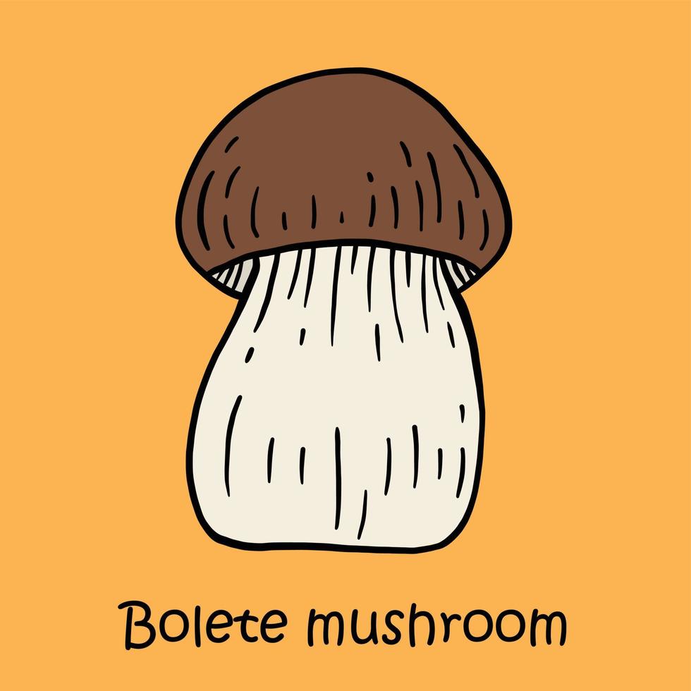 scarabocchiare a mano libera disegno di funghi porcini. vettore