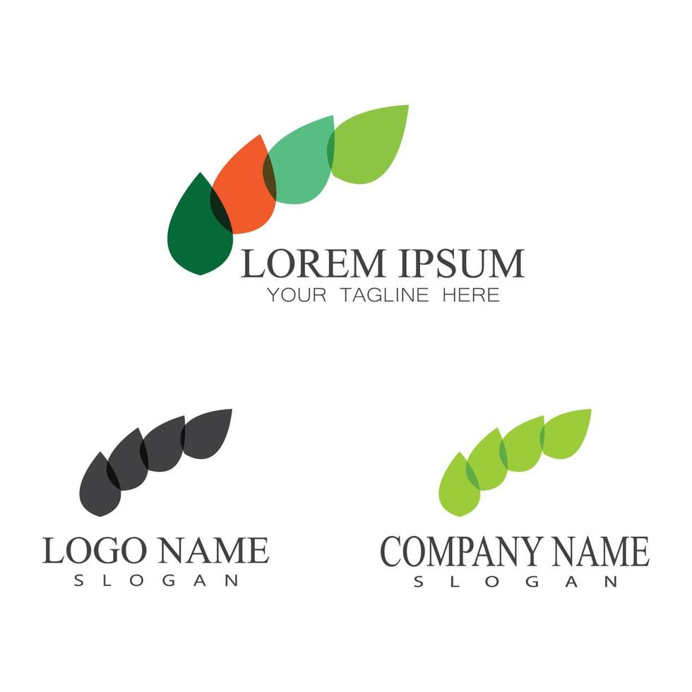 foglia icona illustrazione vettoriale design logo modello