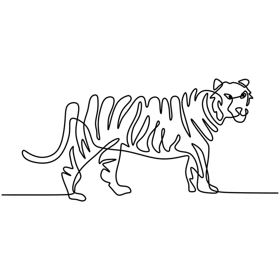 disegno continuo a una linea di tigre che cammina vettore