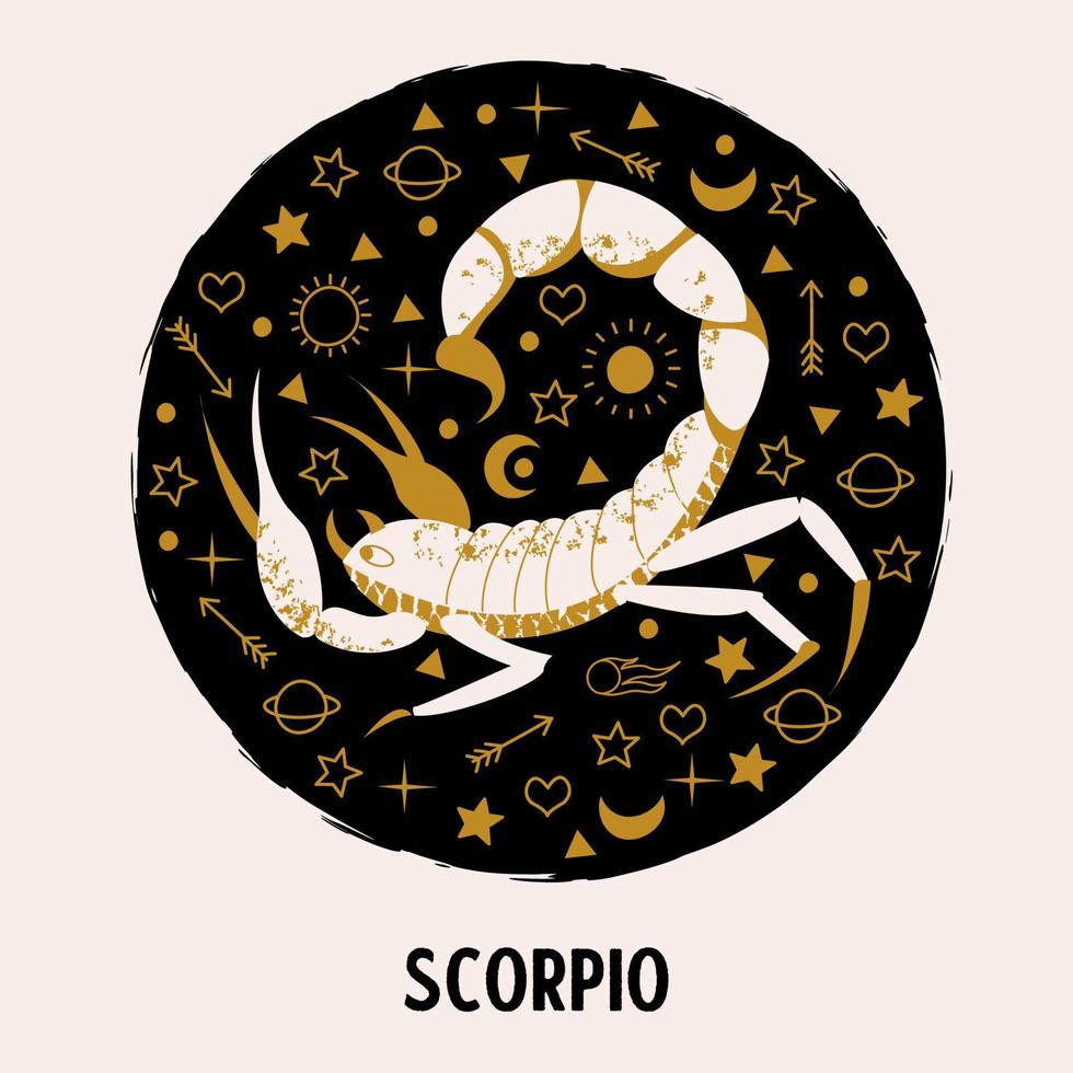 segno zodiacale scorpione. costellazione dello scorpione. illustrazione vettoriale. vettore