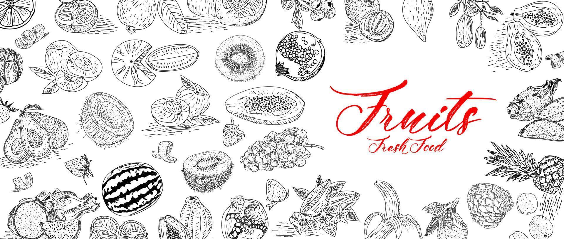 raccolta di frutta in stile disegnato a mano piatto, set di illustrazioni. vettore