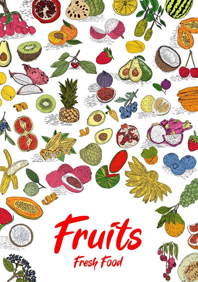 raccolta di frutta in stile disegnato a mano piatto, set di illustrazioni. vettore