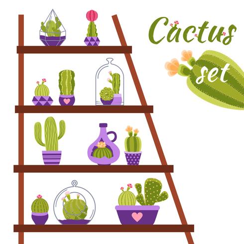 Illustrazione di mensola di cactus vettore