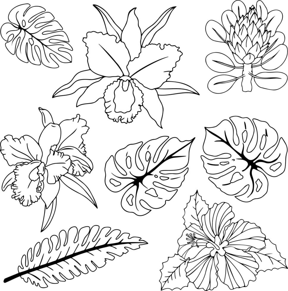 vettore doodle piante, piante icona set