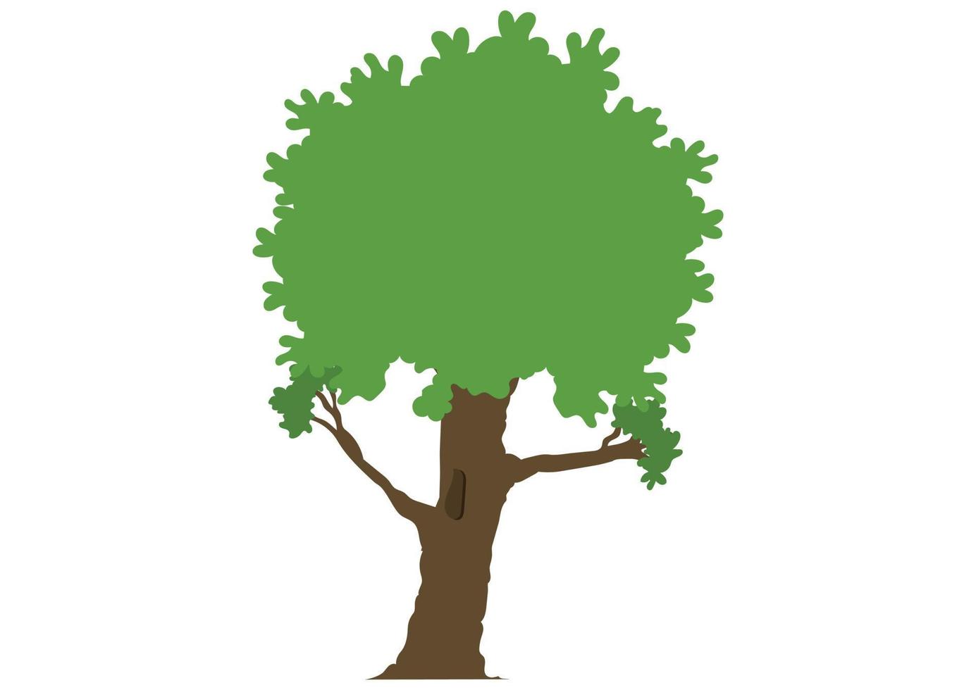 albero di vettore. clipart albero verde vettore