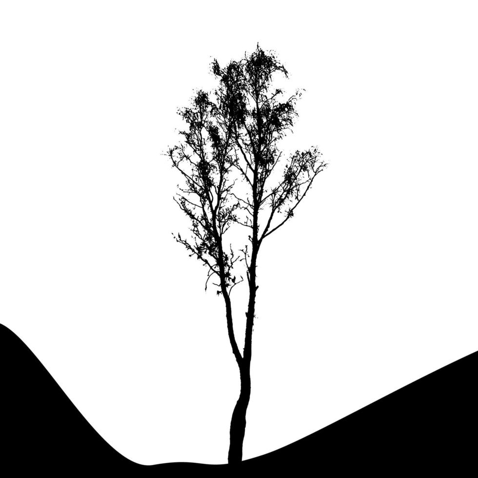 sagoma di albero isolato su sfondo bianco. illustrazione vettoriale