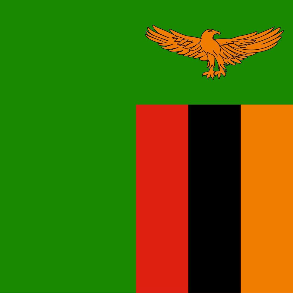 bandiera nazionale quadrata dello zambia vettore