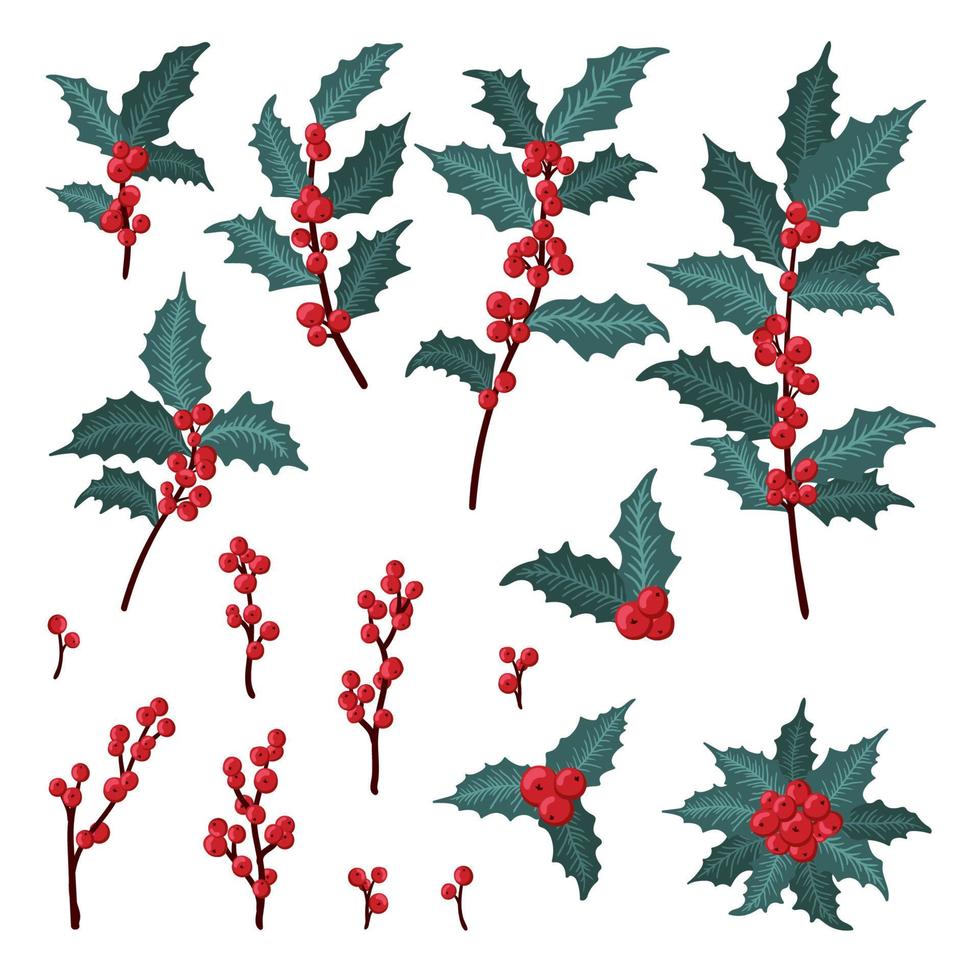 set di bacche di agrifoglio natalizio, foglia verde, bacca rossa, rami, ramoscelli. illustrazione vettoriale inverno isolato su sfondo bianco per cartoline di Natale e design decorativo.