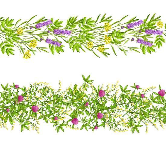 Modello senza cuciture di erbe e fiori selvatici vettore