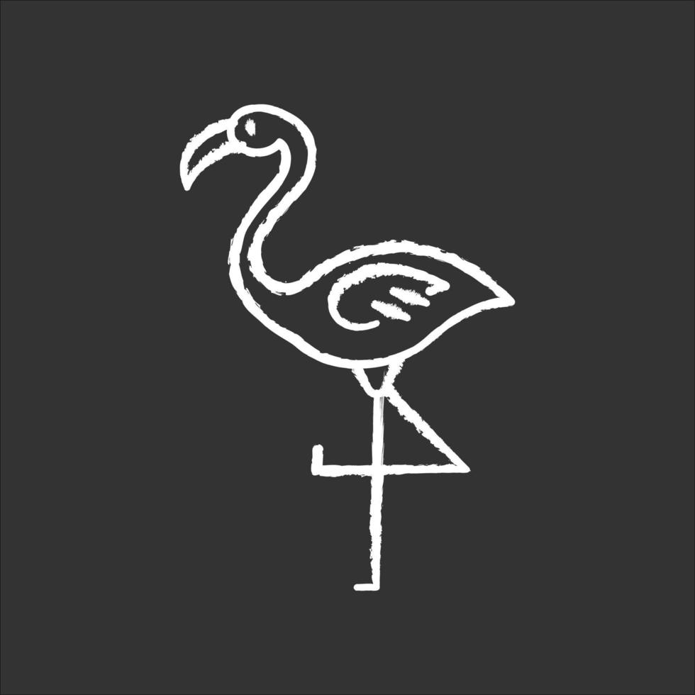 fenicottero bianco gesso icona su sfondo nero. uccello selvatico esotico. creatura tropicale. animali selvatici. habitat sudamericano. illustrazione di lavagna vettoriale isolato