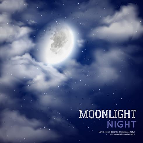 Illustrazione di notte al chiaro di luna vettore