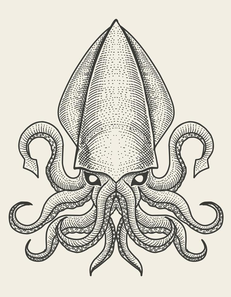 illustrazione vettoriale calamaro vintage con stile di incisione