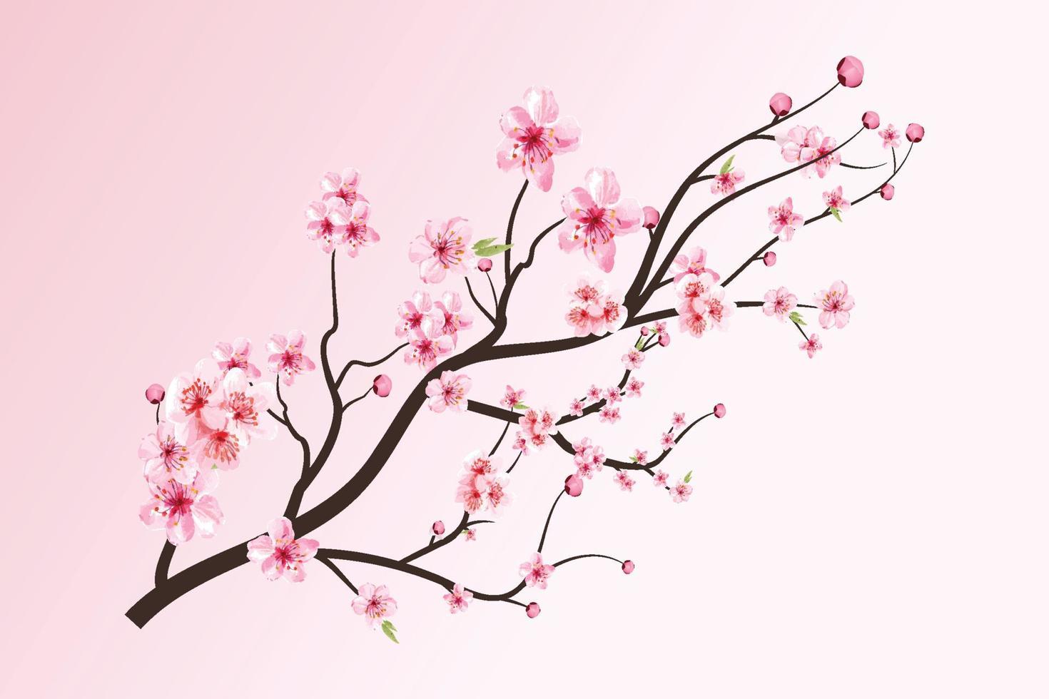 fiore di ciliegio con sakura acquerello in fiore. ramo di fiori di sakura acquerello realistico. vettore di fiori di ciliegio giapponese. ramo di fiori di ciliegio con fiore di sakura. ramo di fiori di ciliegio.