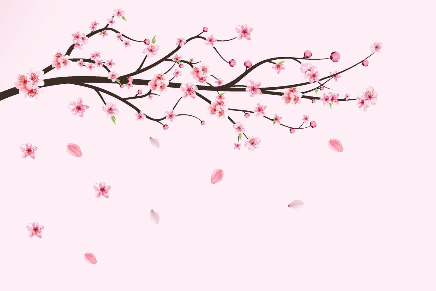 vettore di fiori di ciliegio giapponese. foglie di fiori di ciliegio che cadono. ramo di fiori di ciliegio realistico. fiore rosa sakura che cade. ramo di sakura con fiore rosa dell'acquerello. vettore di fiori di ciliegio ad acquerello