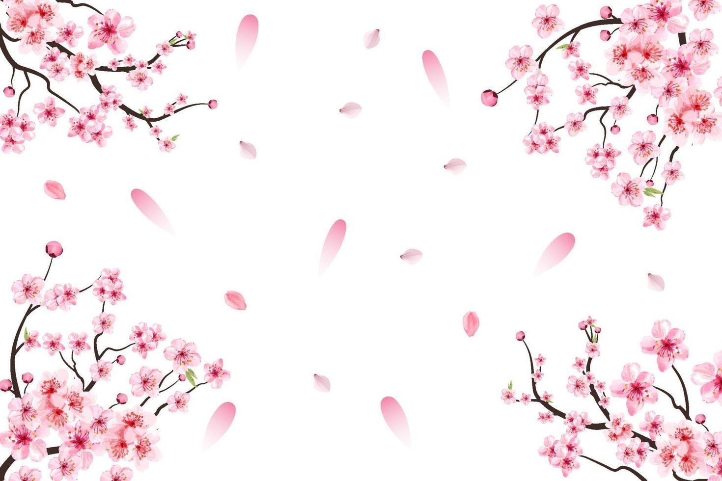 fiore di ciliegio con vettore di fiori di sakura rosa. foglia di sakura rosa che cade. ramo di sakura con fiore acquerello in fiore. foglie di fiori di ciliegio che cadono. vettore di fiori di ciliegio giapponese.