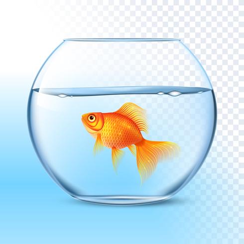 Goldfish In Water Bowl Immagine realistica vettore
