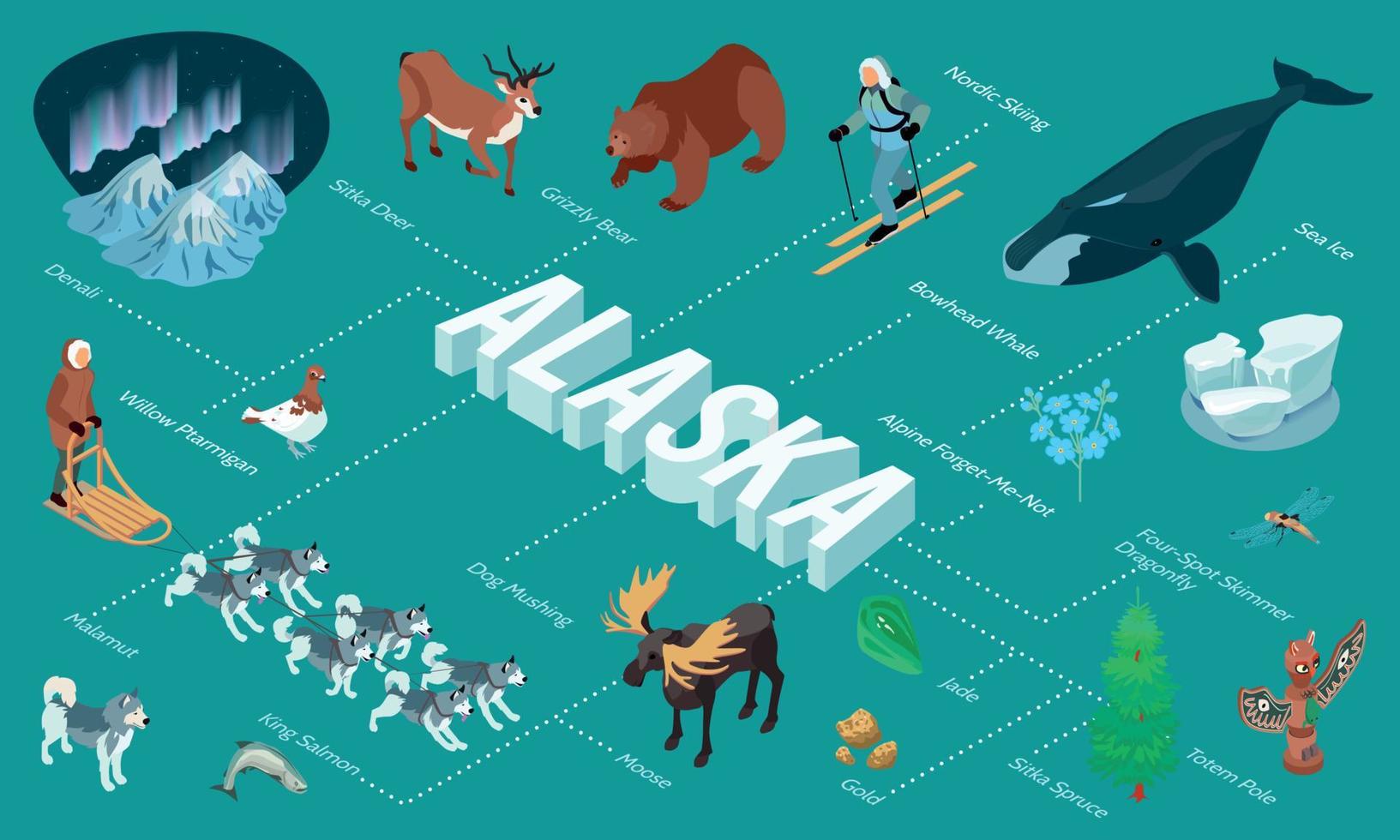 diagramma di flusso isometrico dell'Alaska vettore