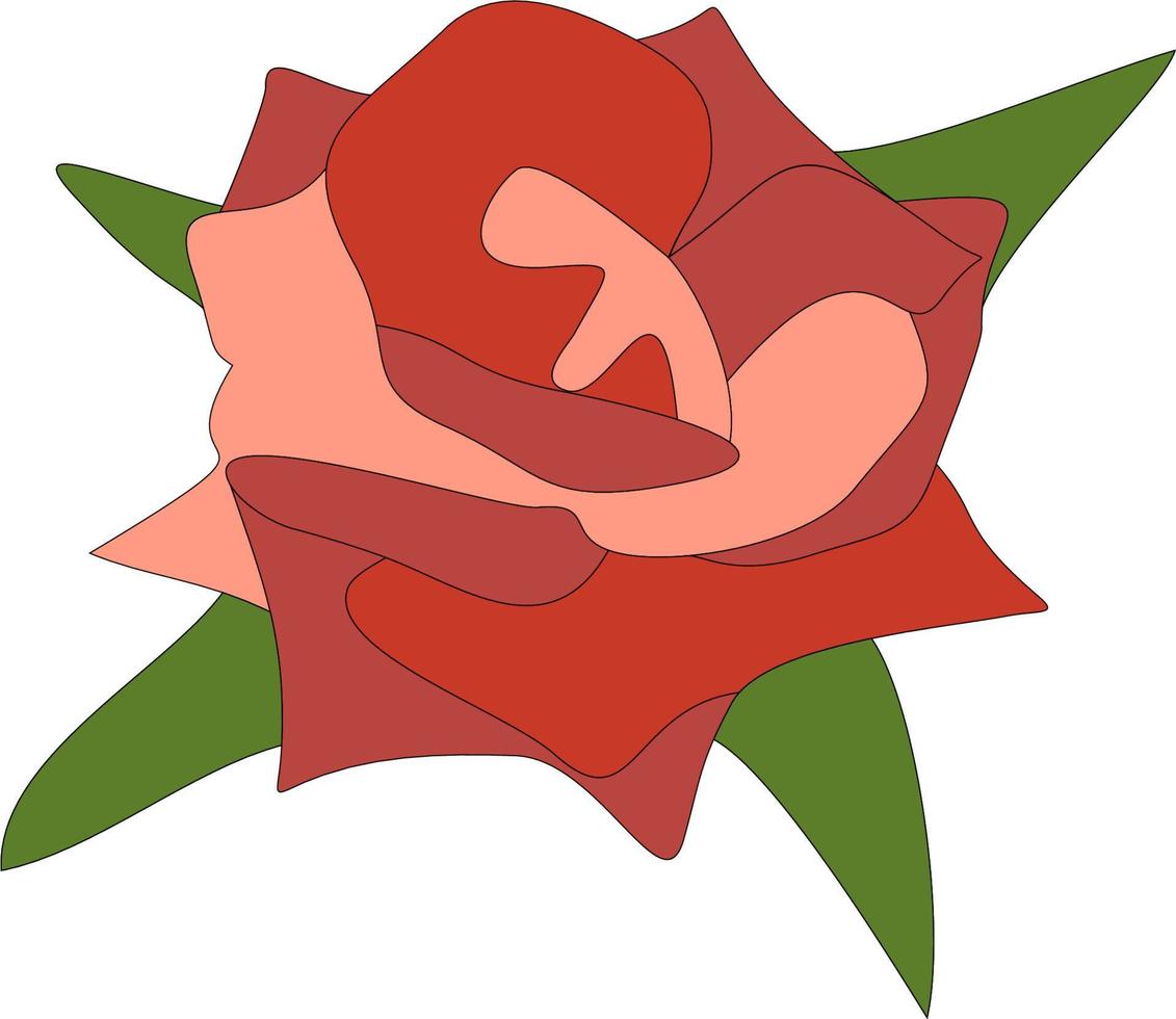 illustrazione di rosa rossa vettore