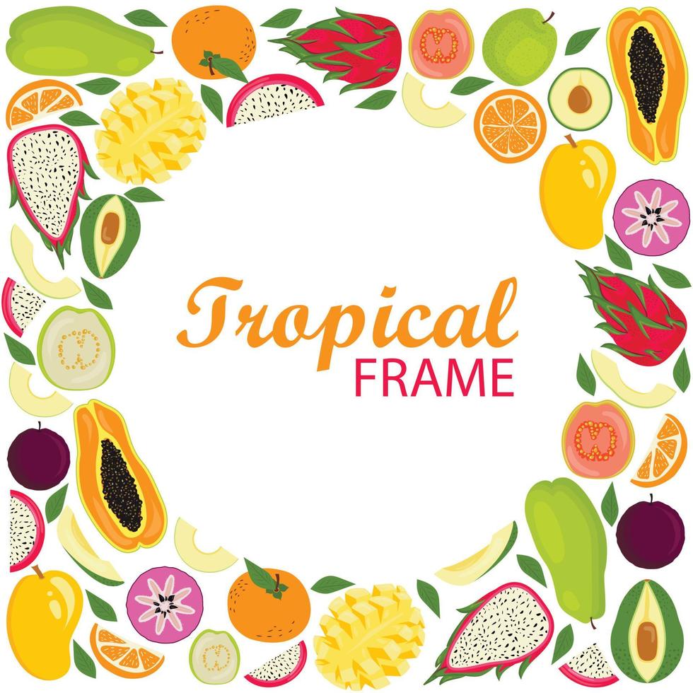 cornice rotonda tropicale hawaiana con frutti esotici e design leaf.template. vettore