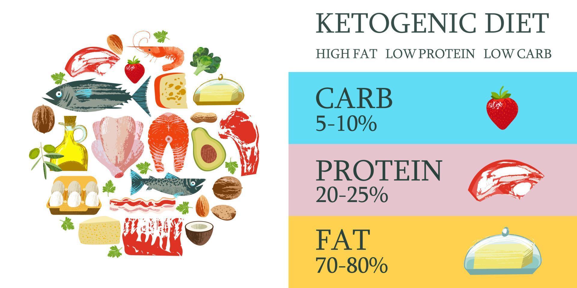 dieta chetogenica. un ampio set di prodotti per la dieta chetogenica. illustrazione vettoriale. carne, pesce, verdure, oli, noci, uova. poster colorato con prodotti diversi. vettore