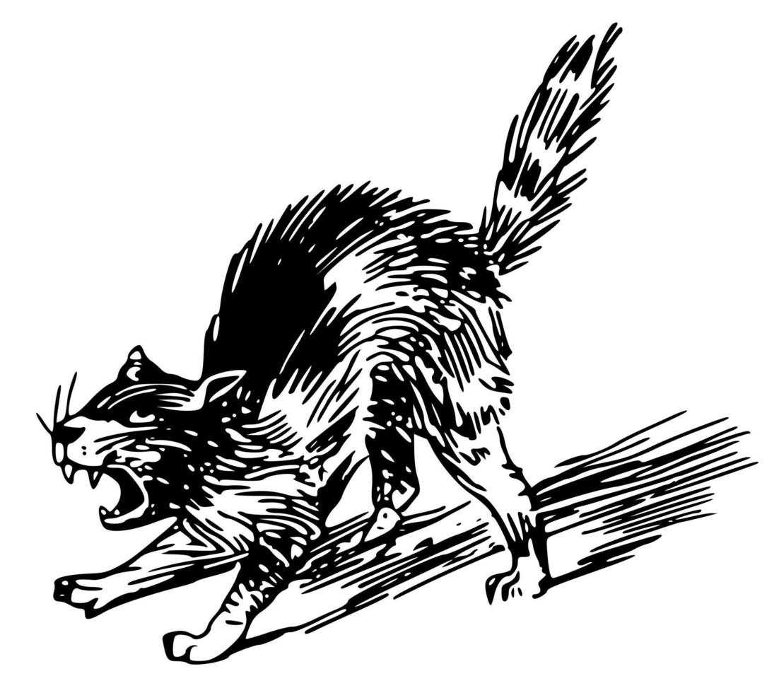 disegno di un gatto feroce vettore