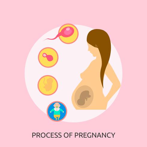 Processo dell&#39;illustrazione concettuale dell&#39;illustrazione di gravidanza vettore