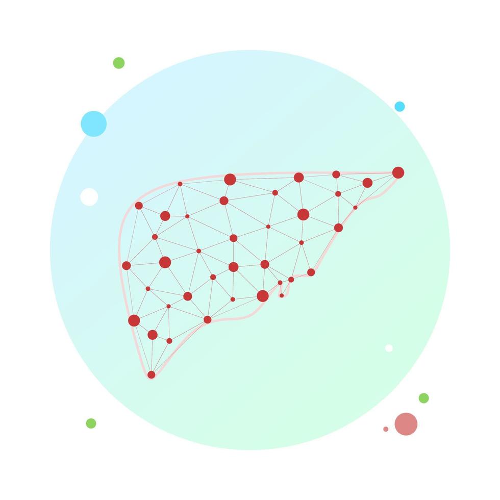 wireframe low poly per la salute del fegato. modello anatomico poligonale del fegato umano fatto di stelle, linee, punti, triangoli. concetto medico e anatomico. cirrosi ed epatite cure mediche, trapianto vettore