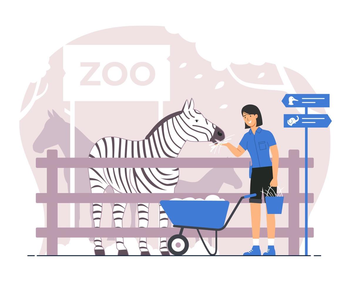 guardiano dello zoo che tiene il secchio e dà da mangiare alla zebra vettore