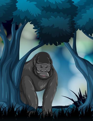 Un gorilla nella foresta vettore