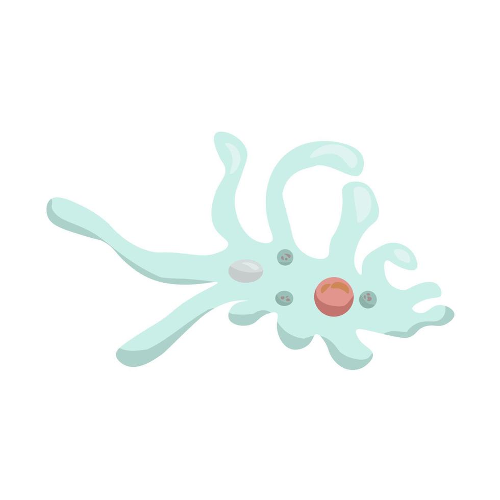 rappresentazione schematica di un'ameba, il più semplice animale unicellulare vettore