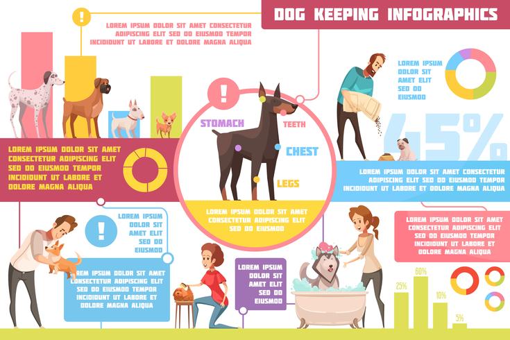 Infographics del fumetto di addestramento di alimentazione del cane vettore