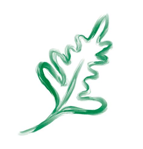 Elemento di foglia di design vettoriale su sfondo bianco. Erba verde del fogliame di arte della foresta verde nello stile dell&#39;acquerello. Illustrazione elegante di bellezza decorativa per progettazione