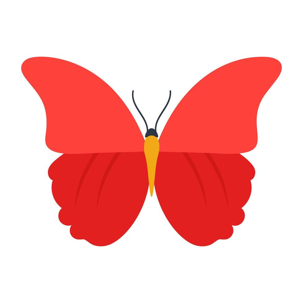 farfalla rossa cracker vettore
