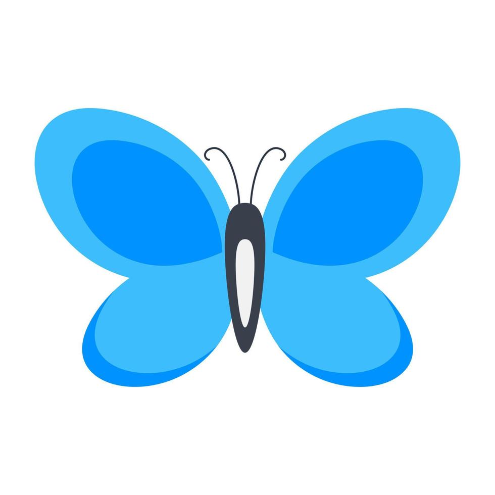 farfalla blu comune vettore