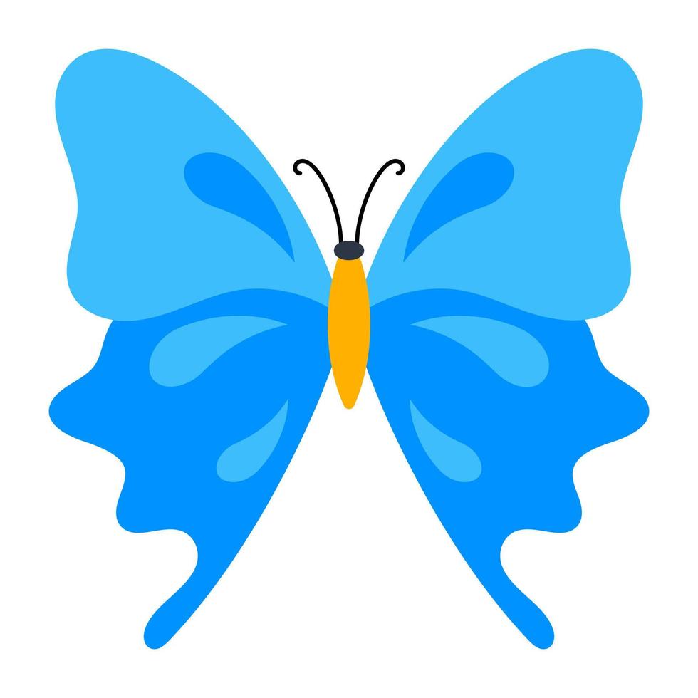doppia farfalla blu vettore