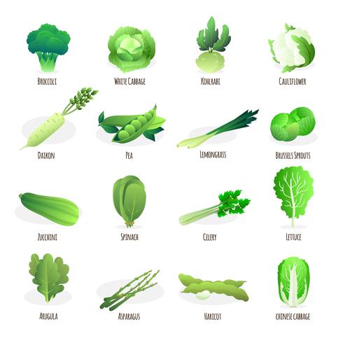 Raccolta di icone piane di verdure verdi vettore